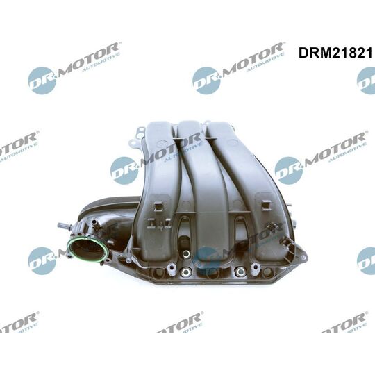 DRM21821 - Intake Manifold Module 