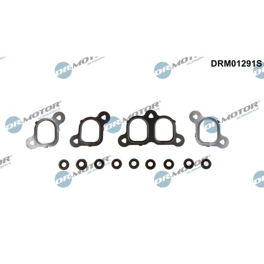 DRM01291S - Packningssats, insugsgrenrör 