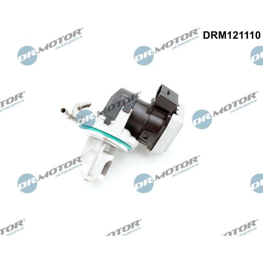 DRM121110 - EGR-klapp 