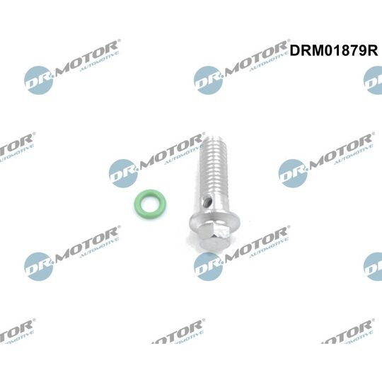 DRM01879R - Korjaussarja öljypumpulle 