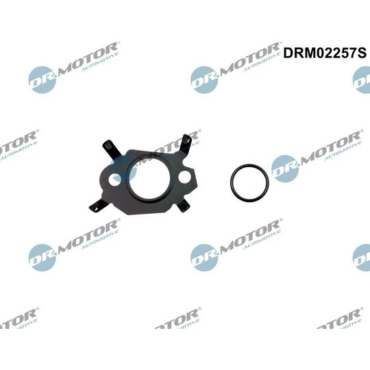 DRM02257S - Tihendikomplekt, EGR- süsteem 