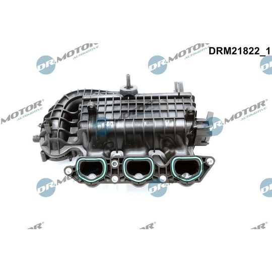 DRM21822 - Intake Manifold Module 