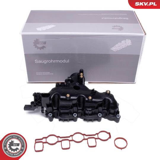 49SKV080 - Intake Manifold Module 