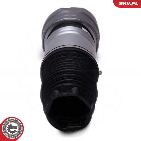 58SKV080 - Air Spring Strut 