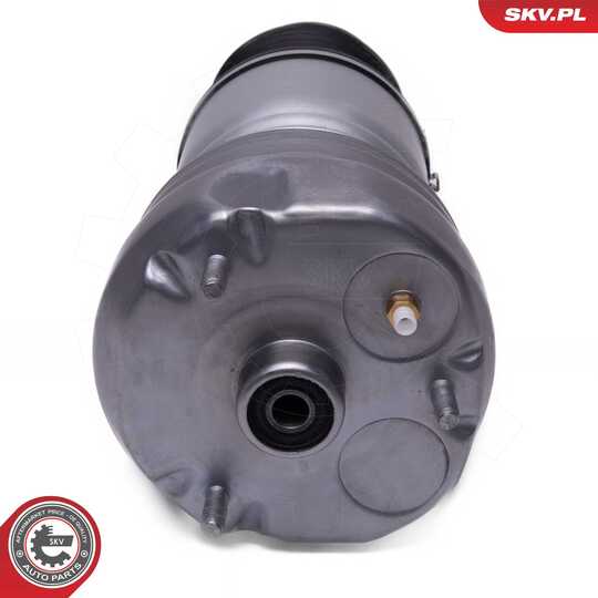 58SKV080 - Air Spring Strut 