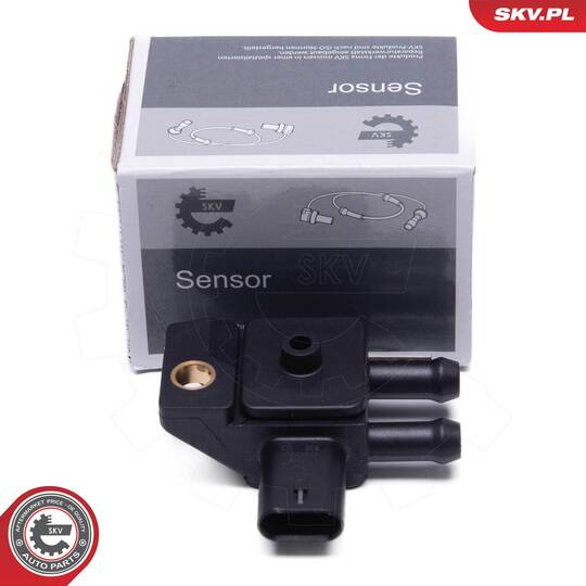 17SKV801 - Sensor, exhaust pressure 