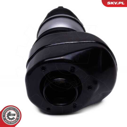 58SKV081 - Air Spring Strut 