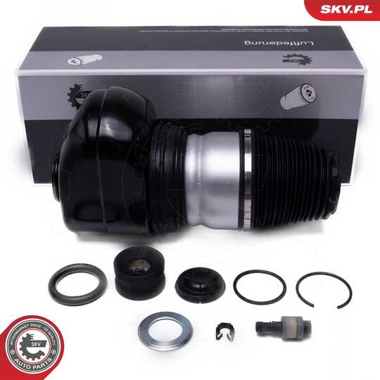 58SKV081 - Air Spring Strut 