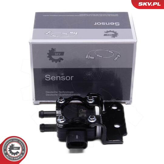 17SKV795 - Sensor, exhaust pressure 