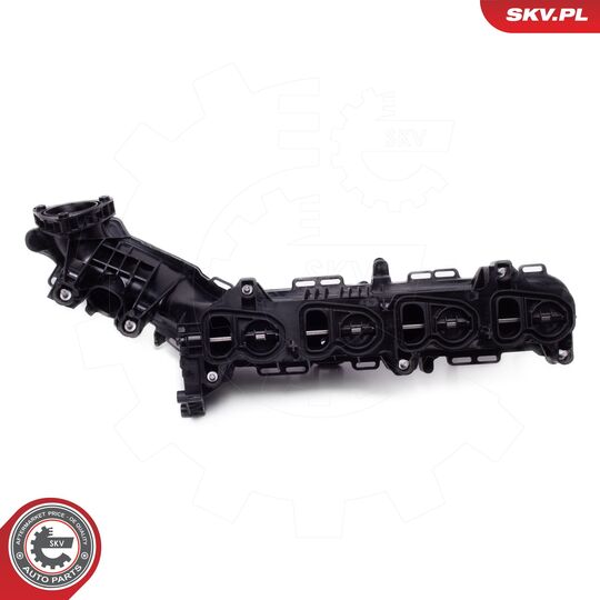 49SKV078 - Intake Manifold Module 