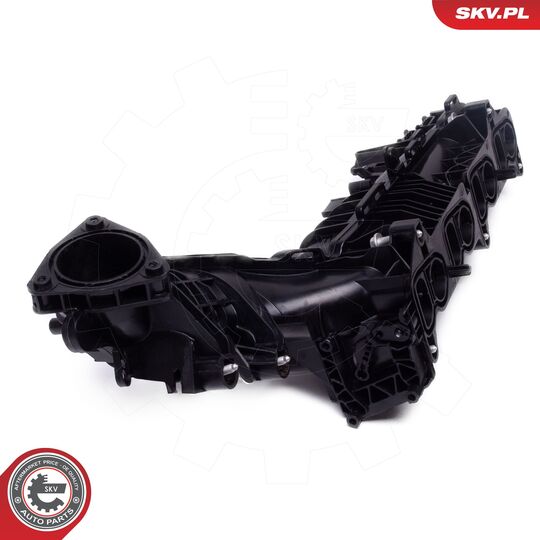 49SKV078 - Intake Manifold Module 