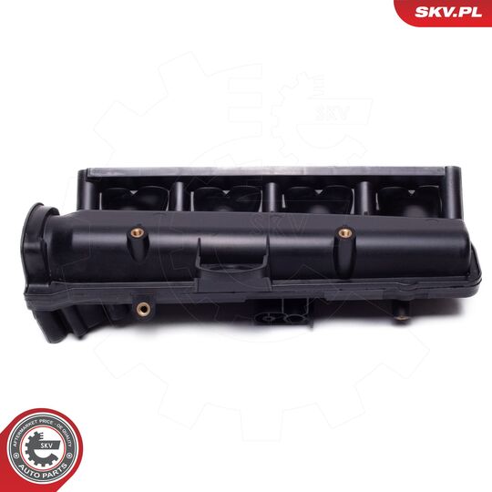 49SKV081 - Intake Manifold Module 