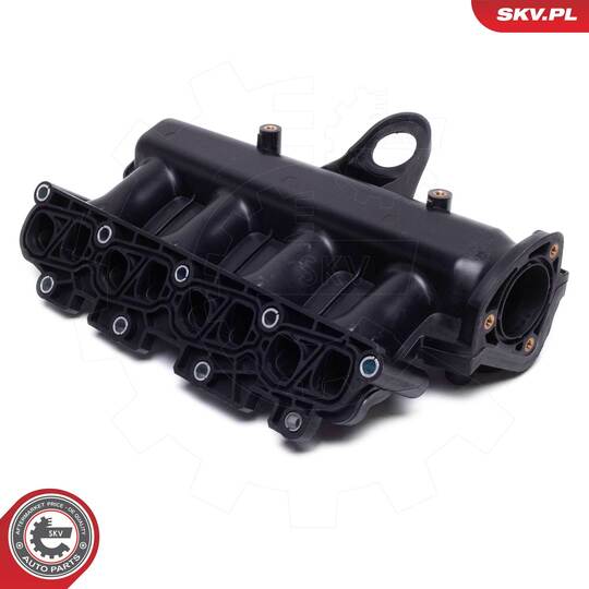 49SKV081 - Intake Manifold Module 