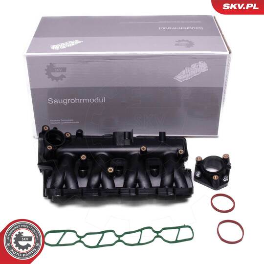 49SKV081 - Intake Manifold Module 