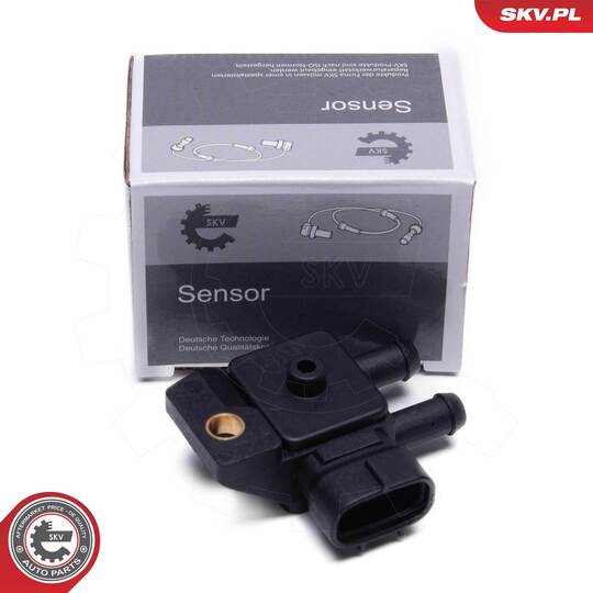 17SKV802 - Sensor, exhaust pressure 