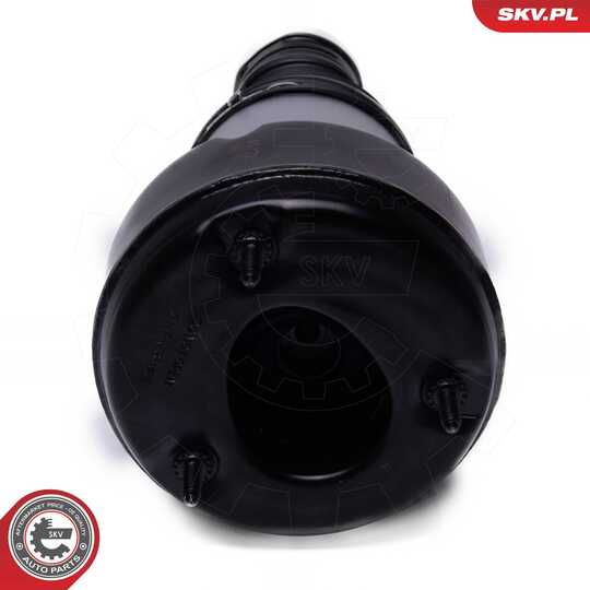 58SKV083 - Air Spring Strut 