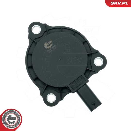 39SKV905 - Central Magnet, camshaft adjustment 