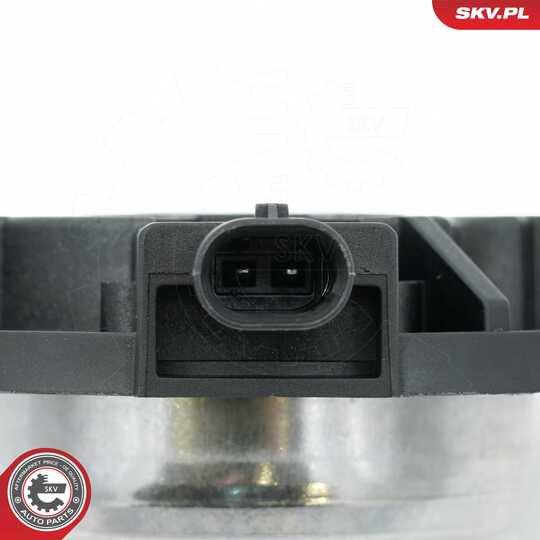 39SKV900 - Central Magnet, camshaft adjustment 