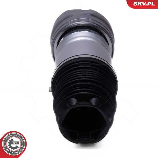 58SKV079 - Air Spring Strut 