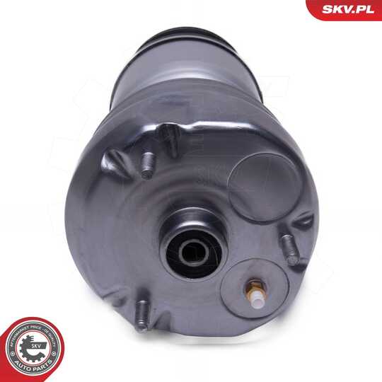 58SKV079 - Air Spring Strut 