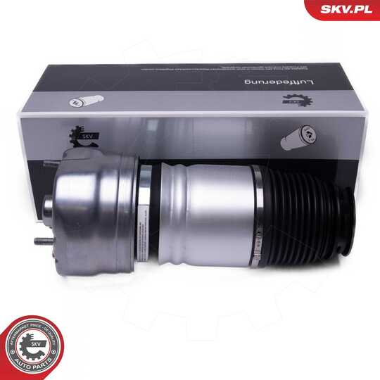 58SKV079 - Air Spring Strut 