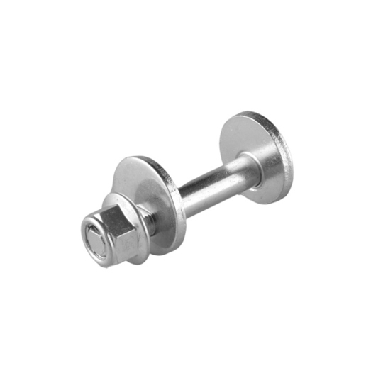 Camber Correction Screw