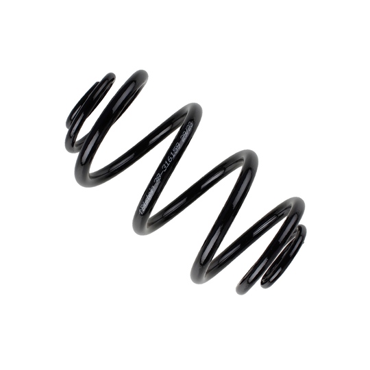 38-316159 - Coil Spring 