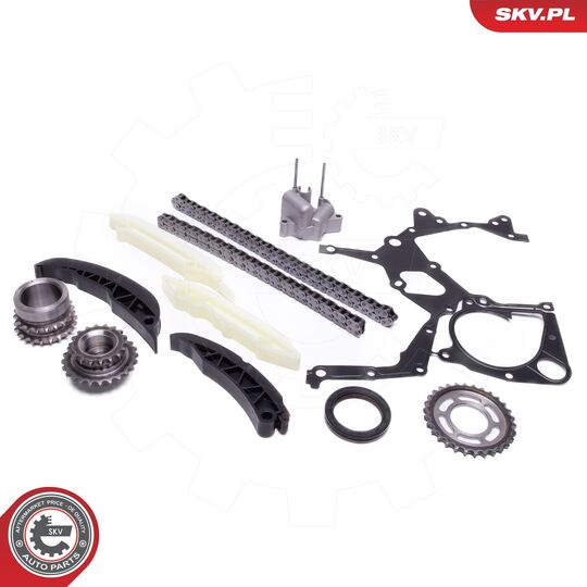 21SKV166 - Timing Chain Kit 