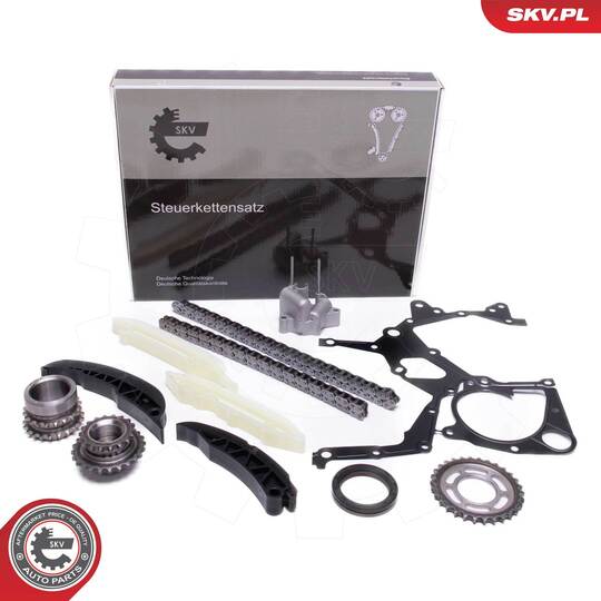 21SKV166 - Timing Chain Kit 