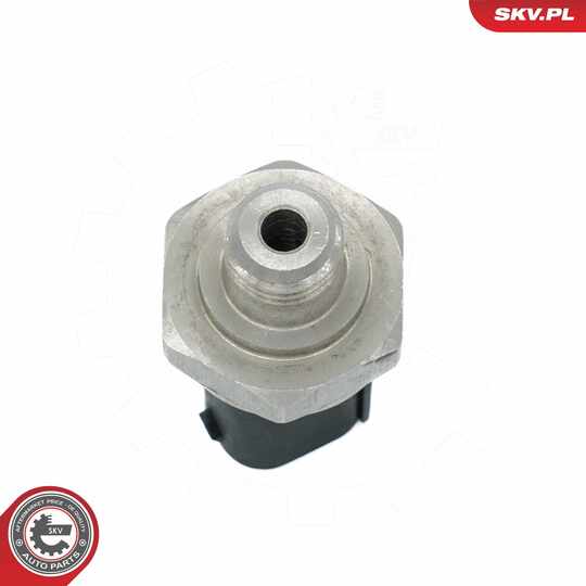 17SKV790 - Sensor, exhaust pressure 