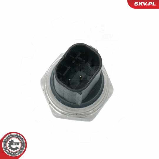 17SKV790 - Sensor, exhaust pressure 