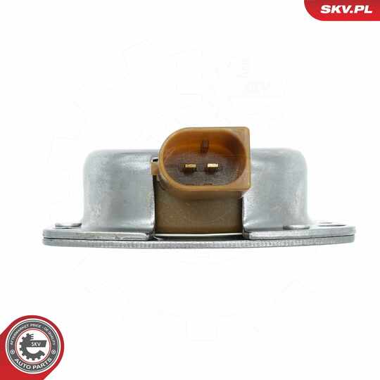 39SKV901 - Central Magnet, camshaft adjustment 