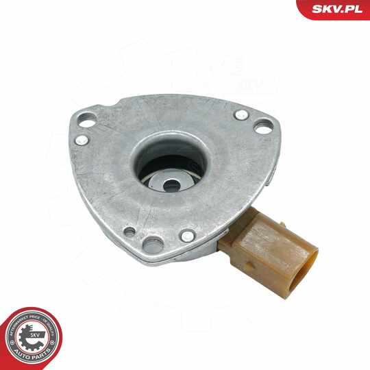 39SKV901 - Central Magnet, camshaft adjustment 