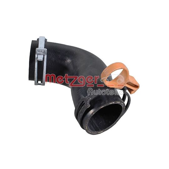 2421677 - Radiator Hose 