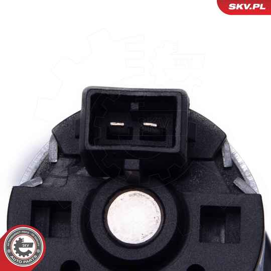 22SKV056 - Auxiliary Water Pump (cooling water circuit) 