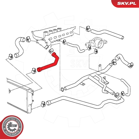 24SKV268 - Radiator Hose 