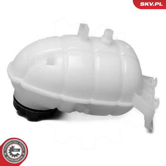 61SKV494 - Expansion Tank, coolant 