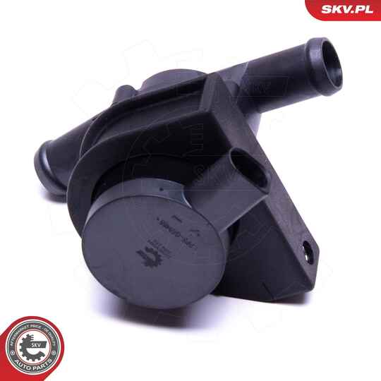 22SKV064 - Auxiliary Water Pump (cooling water circuit) 