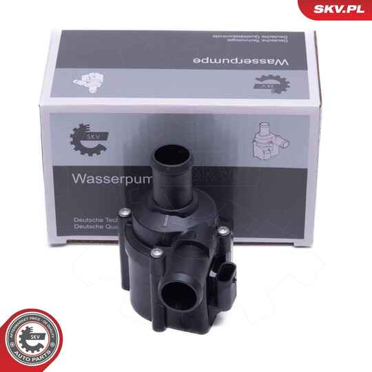 22SKV042 - Auxiliary Water Pump (cooling water circuit) 