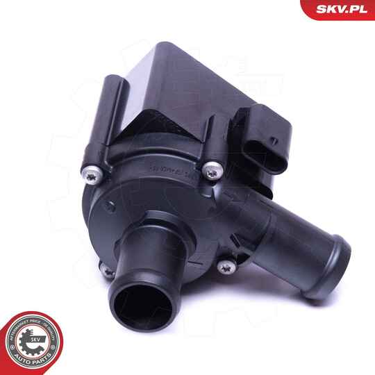 22SKV042 - Auxiliary Water Pump (cooling water circuit) 