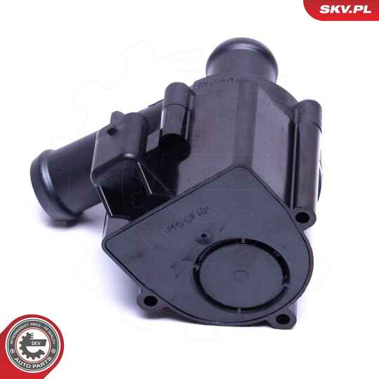 22SKV042 - Auxiliary Water Pump (cooling water circuit) 