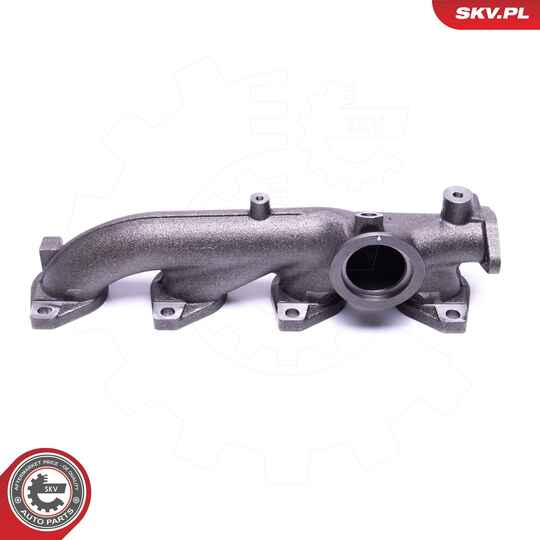 49SKV074 - Manifold, exhaust system 