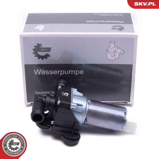 22SKV035 - Auxiliary Water Pump (cooling water circuit) 