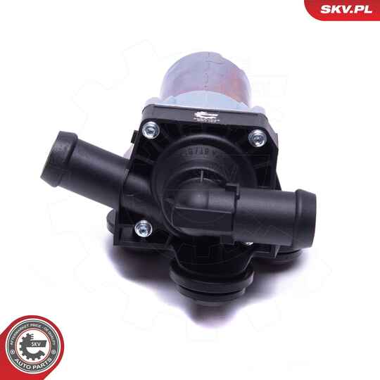 22SKV035 - Auxiliary Water Pump (cooling water circuit) 