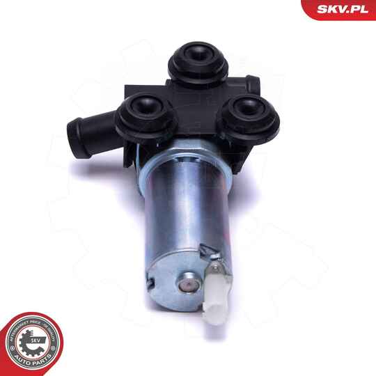 22SKV035 - Auxiliary Water Pump (cooling water circuit) 