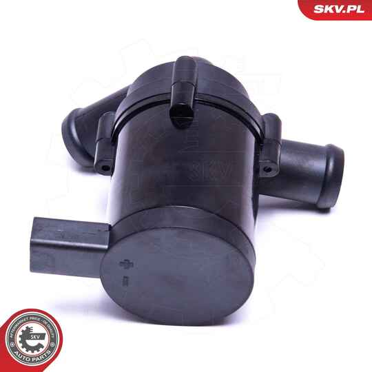 22SKV041 - Auxiliary Water Pump (cooling water circuit) 