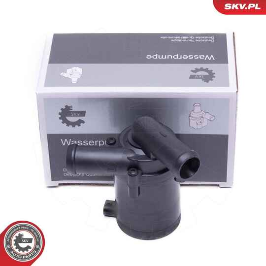 22SKV034 - Auxiliary Water Pump (cooling water circuit) 