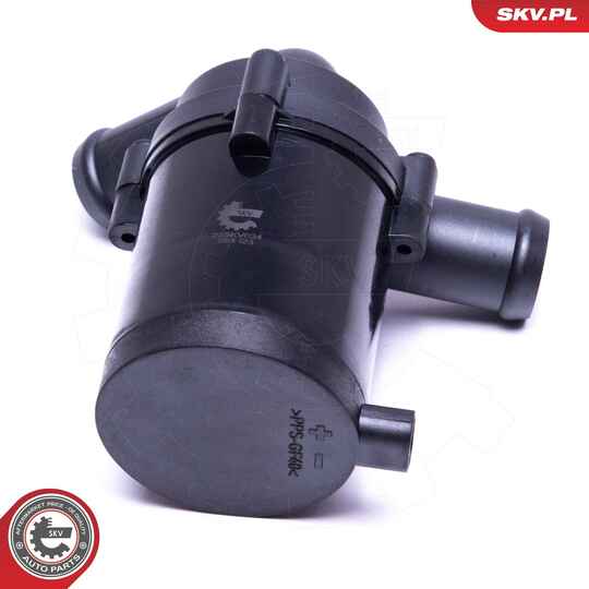 22SKV034 - Auxiliary Water Pump (cooling water circuit) 