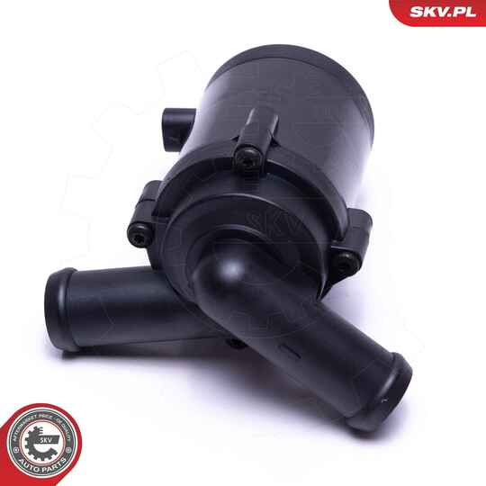 22SKV034 - Auxiliary Water Pump (cooling water circuit) 