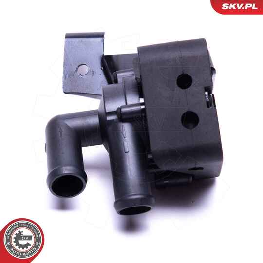 22SKV044 - Auxiliary Water Pump (cooling water circuit) 